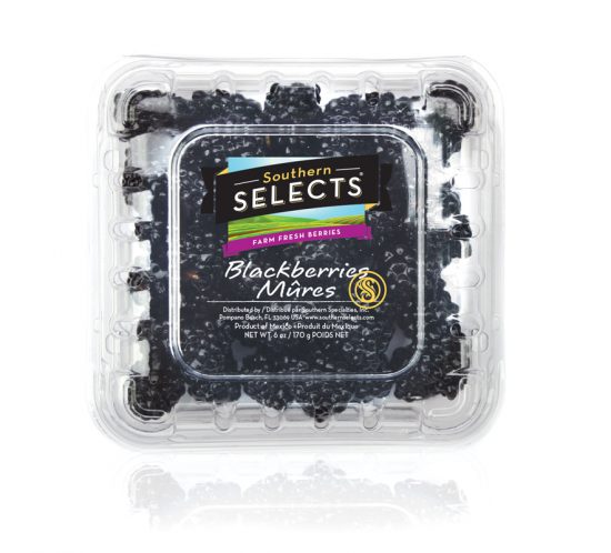 Southern Selects Blackberries