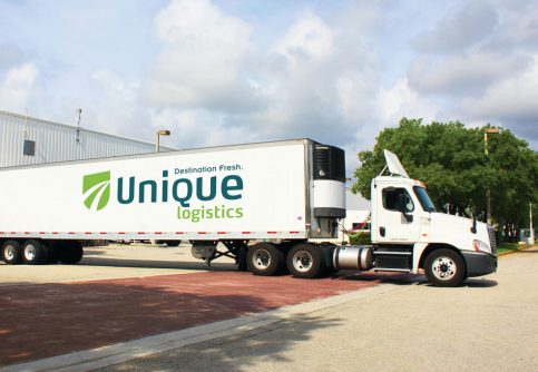 Unique Logistics Truck