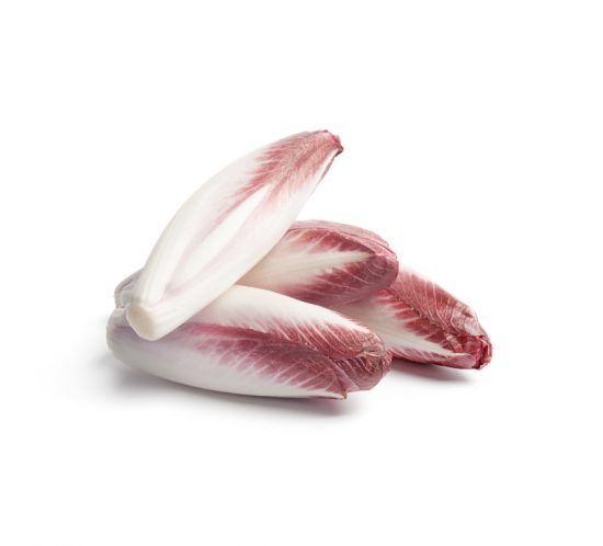 Southern Selects Red Endive